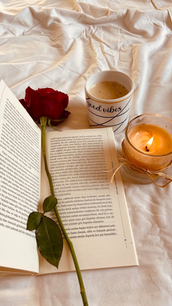 Explorez des histoires vraies qui bouleversent et inspirent