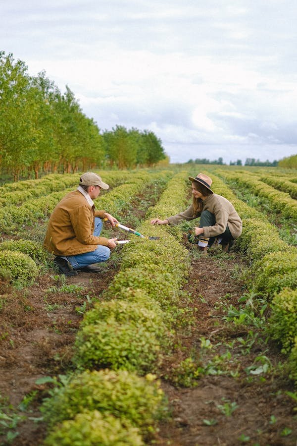 Rencontrez des agriculteurs célibataires passionnés par la nature
